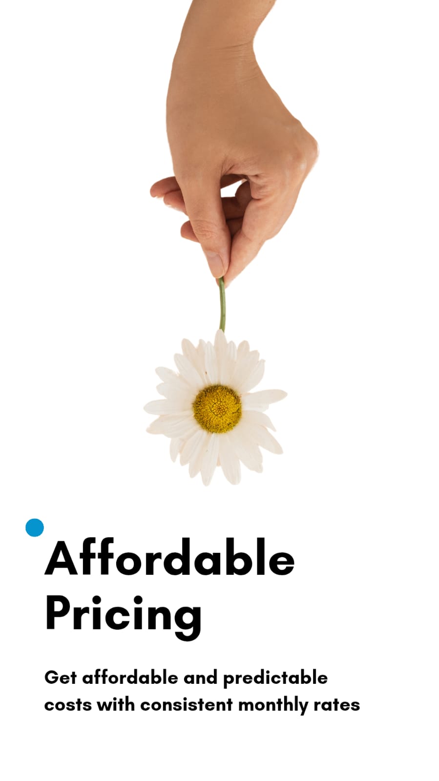 Affordable Pricing